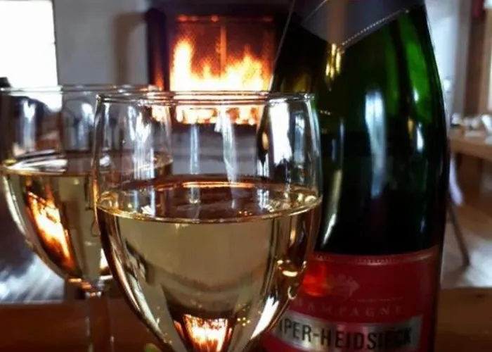 Willa Huvikalliola, Laatulomat